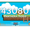 Branum, Susie - Panthera Tigris #1430801 (24)